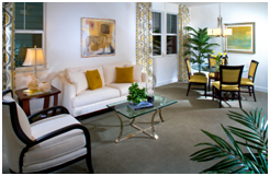 Southgate DeNova Homes